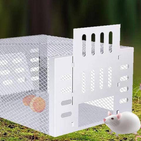 Armadilha Pega Rato - Mouse Trap / A melhor opção no controle das pragas! - ModernLar