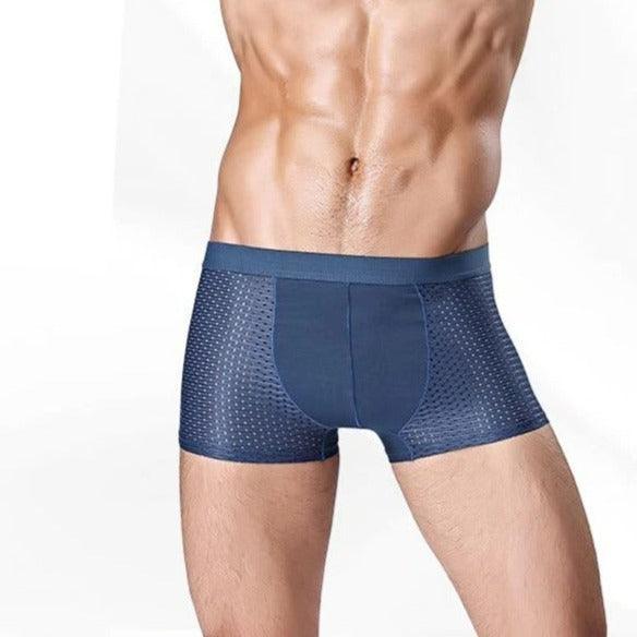 Kit de Cuecas Dionísio™ em Fibra de Bambu + Seda Gelada / Frescor Inigualável, Proteção Antibacteriana e Antiodor! - ModernLar