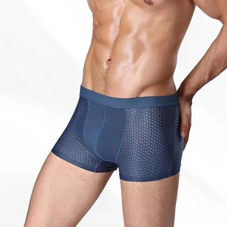 Kit de Cuecas Dionísio™ em Fibra de Bambu + Seda Gelada / Frescor Inigualável, Proteção Antibacteriana e Antiodor! - ModernLar