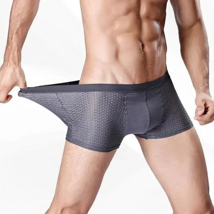 Kit de Cuecas Dionísio™ em Fibra de Bambu + Seda Gelada / Frescor Inigualável, Proteção Antibacteriana e Antiodor! - ModernLar