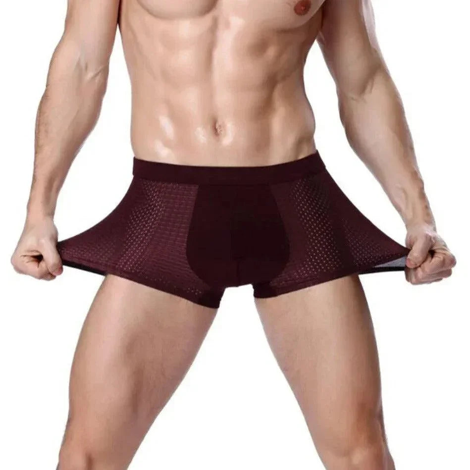 Kit de Cuecas Dionísio™ em Fibra de Bambu + Seda Gelada / Frescor Inigualável, Proteção Antibacteriana e Antiodor! - ModernLar