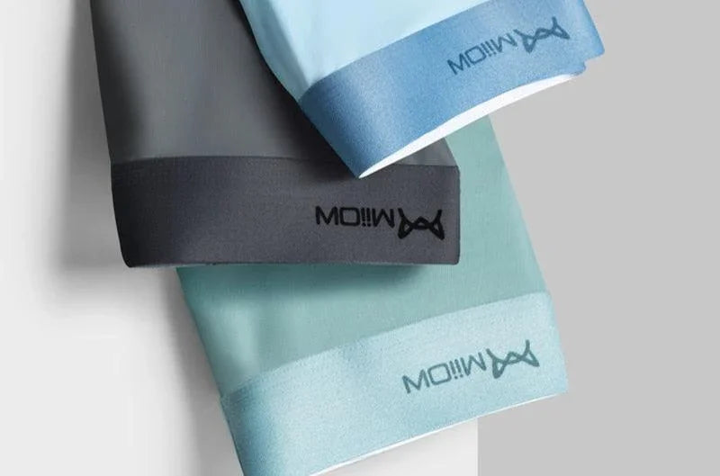 3Pcs Cueca em Seda Gelo (Antibacteriana) - ModernLar