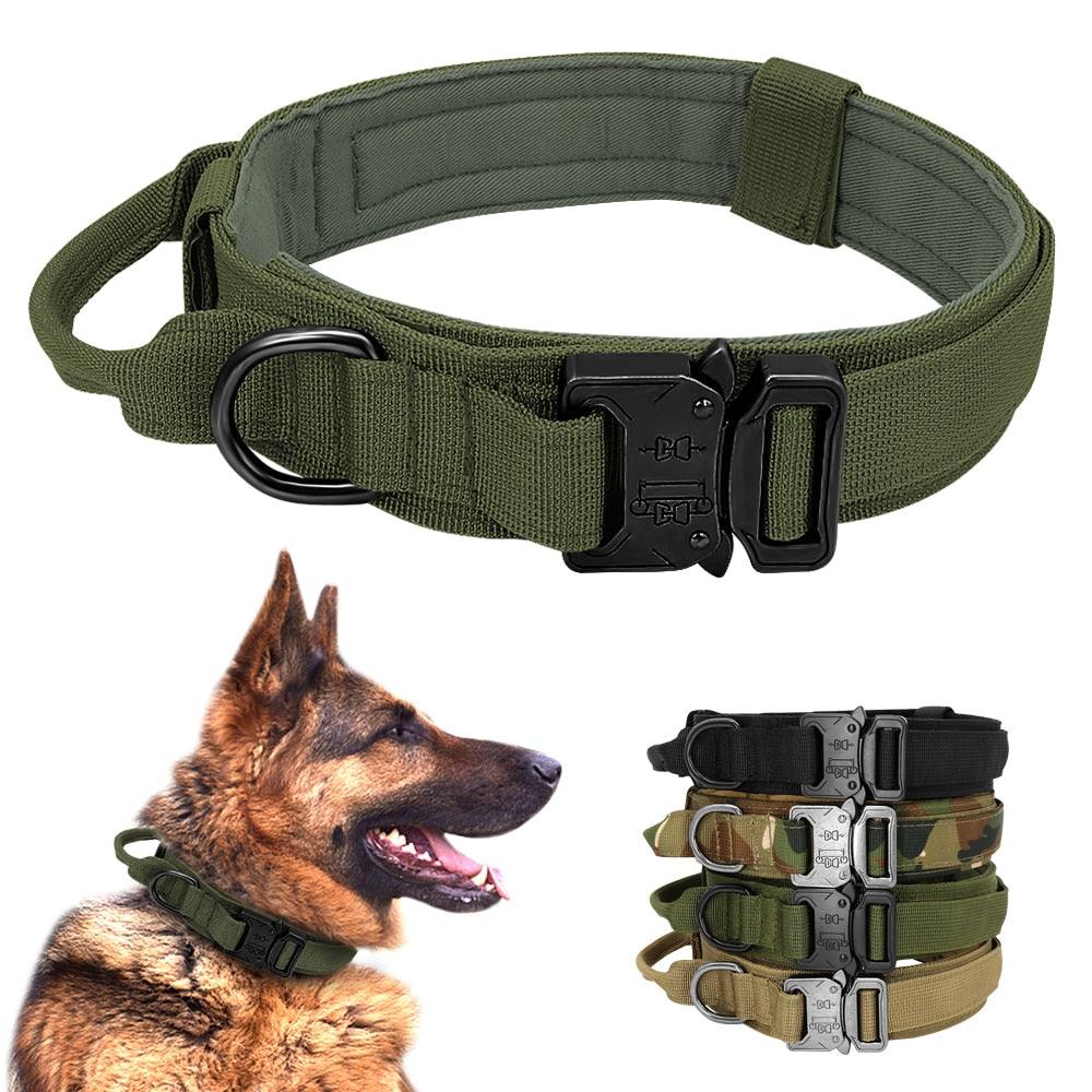 COLEIRA TÁTICA PARA CÃO - ModernLar