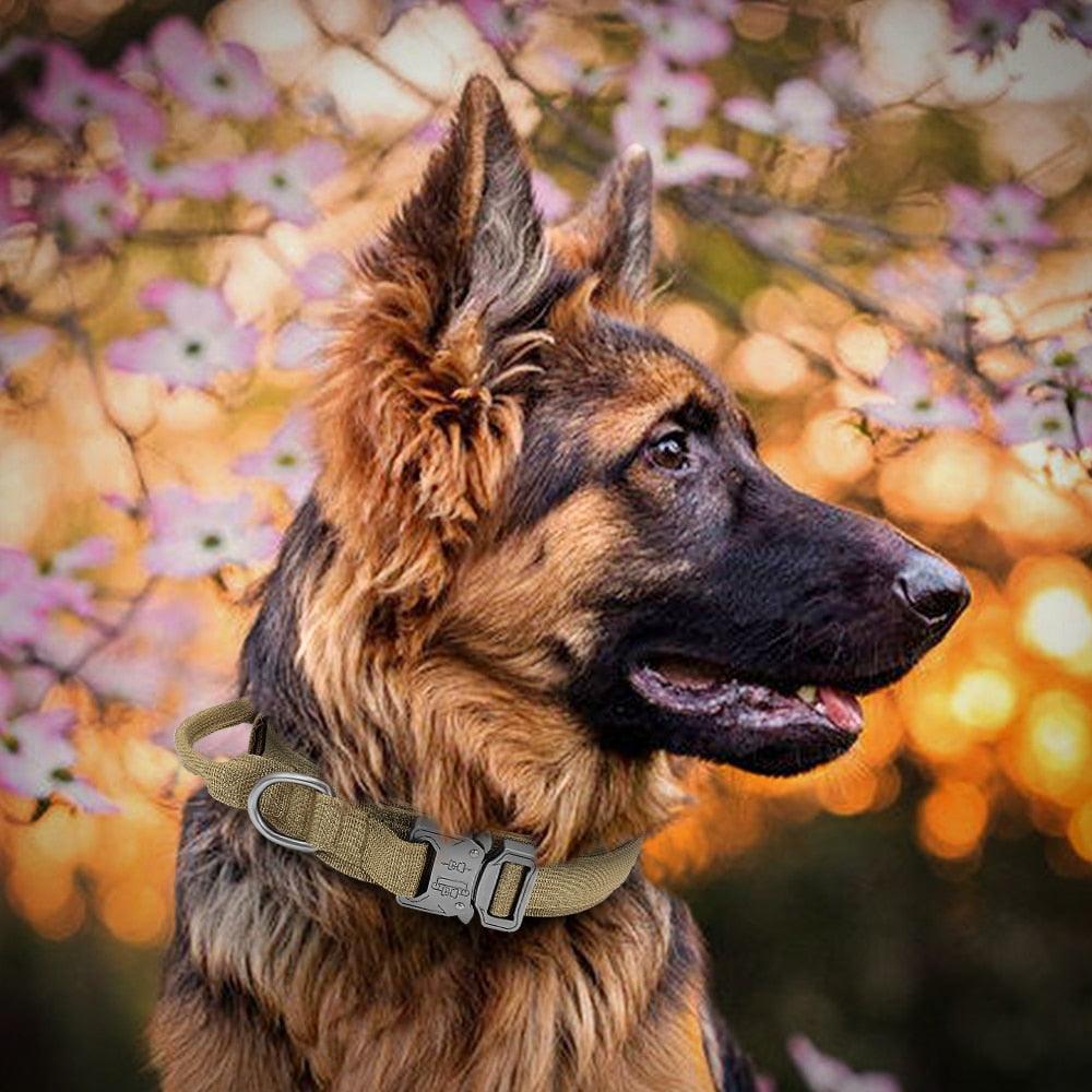 COLEIRA TÁTICA PARA CÃO - ModernLar