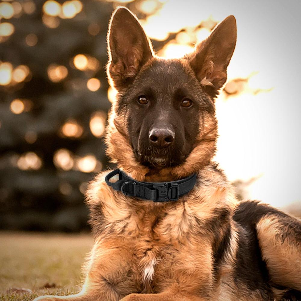 COLEIRA TÁTICA PARA CÃO - ModernLar