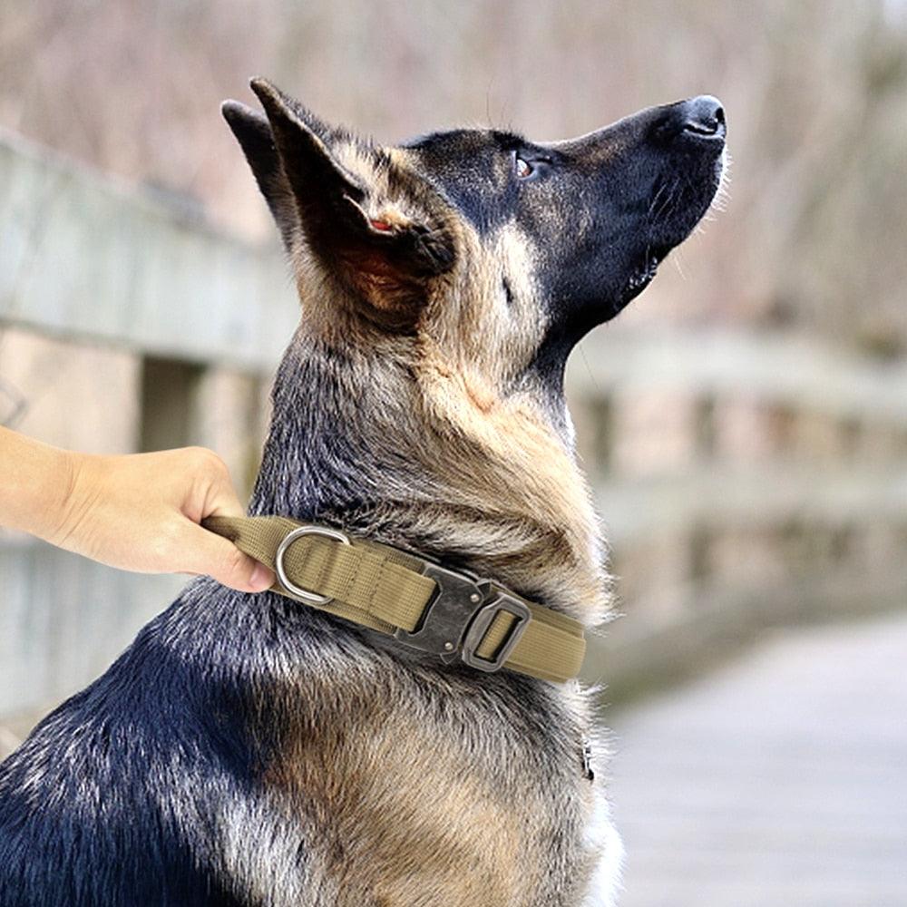 COLEIRA TÁTICA PARA CÃO - ModernLar
