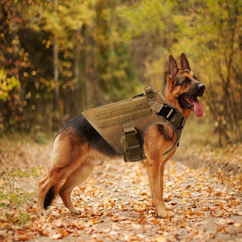 Colete Tático Americano para Cães - ModernLar